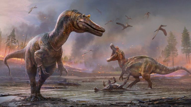 dinosaur sandown